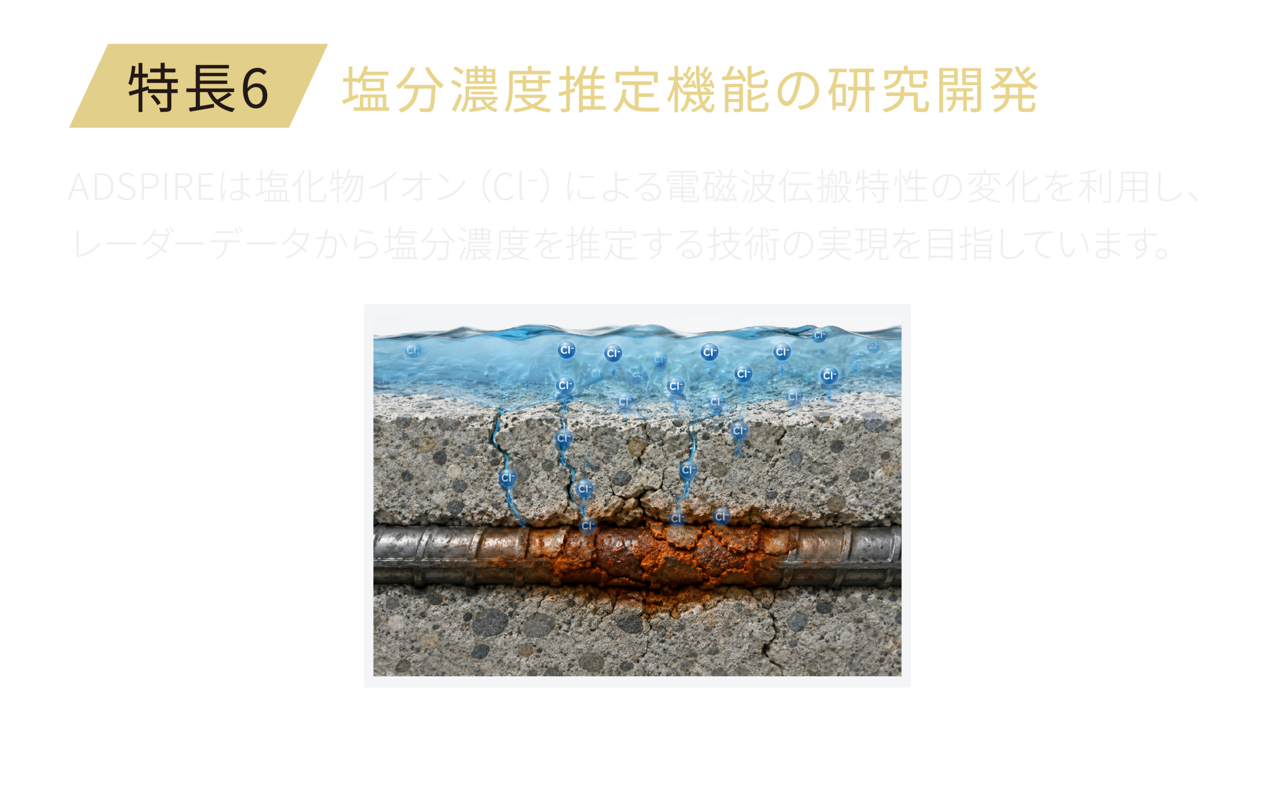塩分濃度推定機能の研究開発